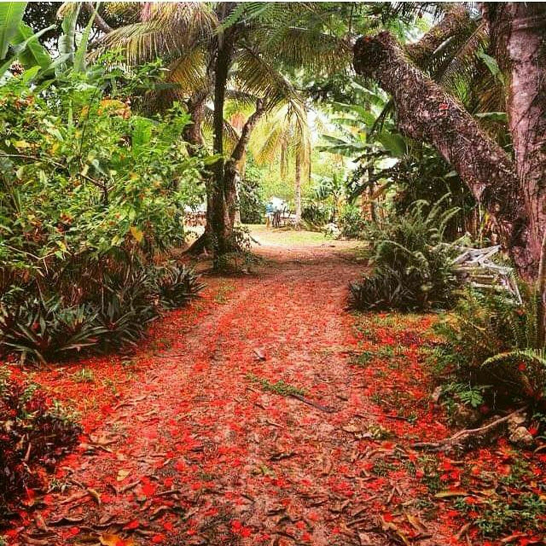 Htl Tubarao Hotell Barra Grande  Exteriör bild